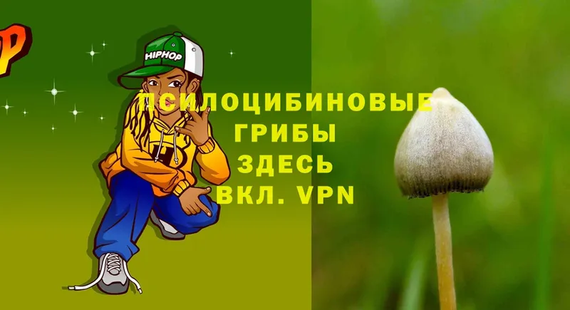 Псилоцибиновые грибы GOLDEN TEACHER Вятские Поляны